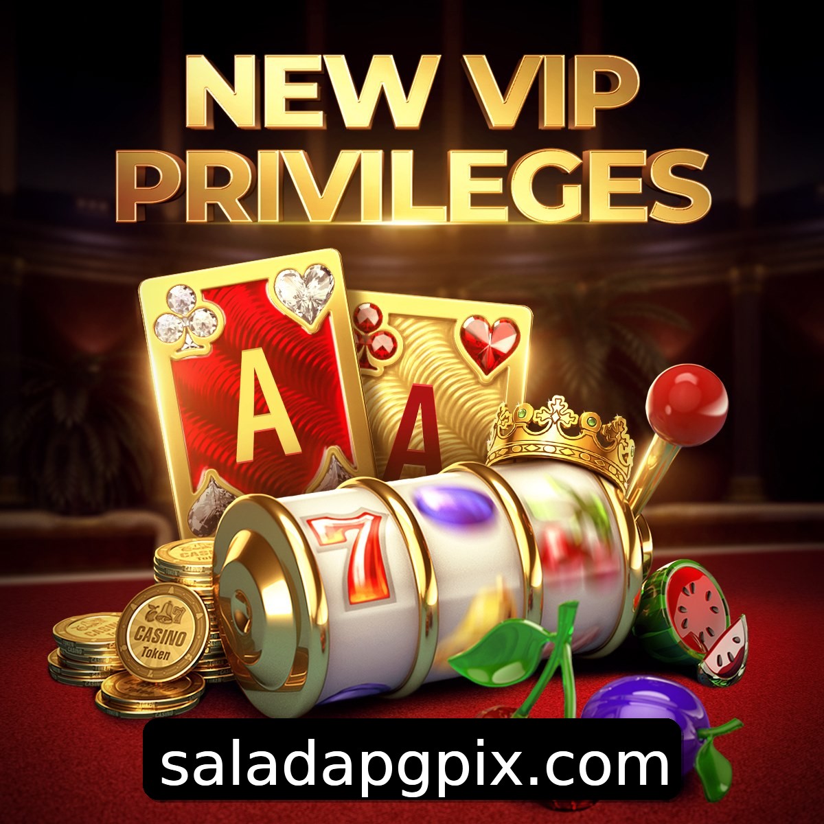 Programa VIP saladapg